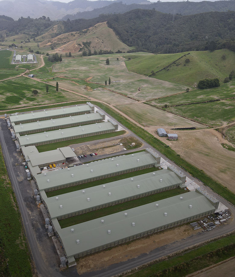 Agri Houses building design and construction in New Zealand