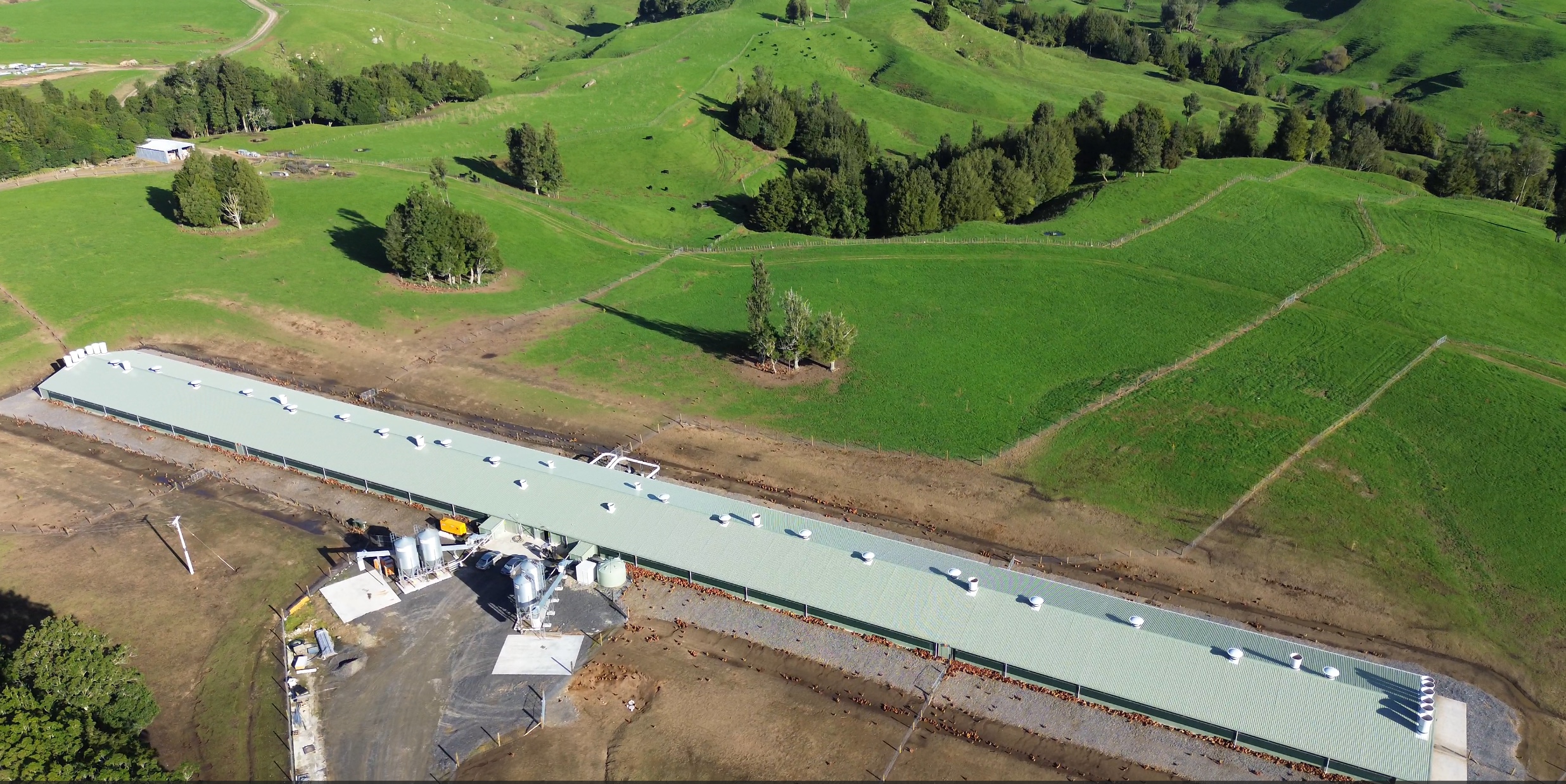 New Zealand poultry shed design and construction